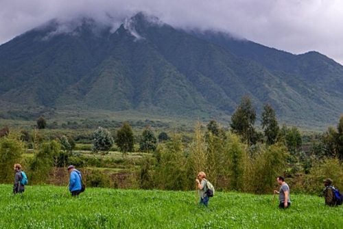 xr:d:DAFHD45XHNM:79,j:44698907806,t:23010513